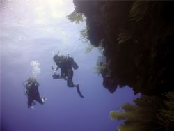 Divers in the blue, Wall, Puerto Plata, Dominican Republi... by Massa Paola 